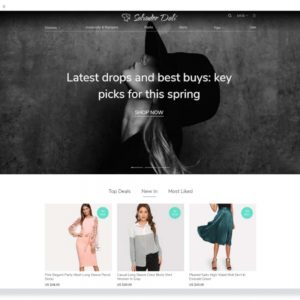 alidropship custom store 01